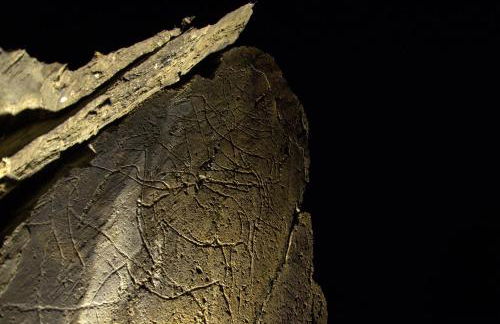 Quinta do Chao D'Ordem - Foto 58