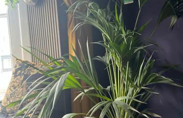 Apothecary Hall - Snowdonia - Photo 7