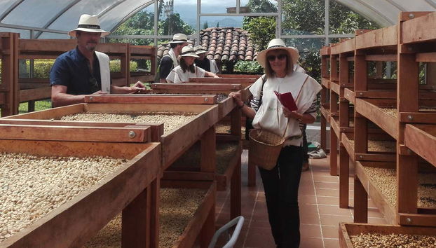 Visiting the Finca Casa Vieja