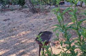 Casa do Vicente - Foto 13