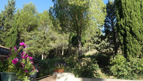 Gîte du Fenouil - Foto 2