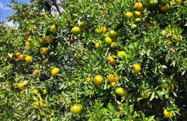 Casa Aconchegante - Foto 15