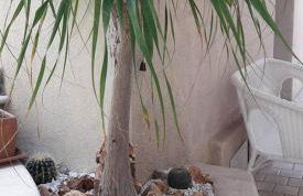 Palazzo Reginella Residence Hotel - Foto 39