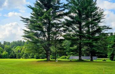 MapleVilla - Foto 11