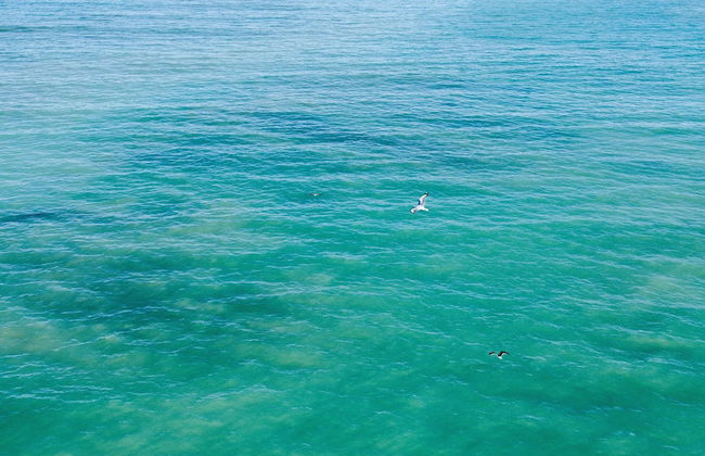 Strand Pavilion - Photo 61