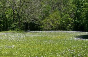 Pecan Grove Cabin - Foto 16