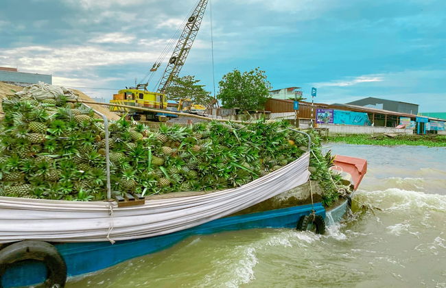 Homestay Co Gai Viet - Foto 45