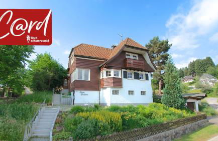 Haus Frohsinn- Feldberg im Schwarzwald - Photo 1