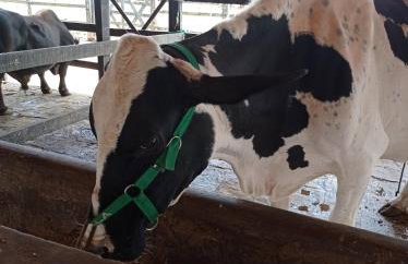 Flat no condomíno Monte Castelo em Gravatá-PE - Foto 26