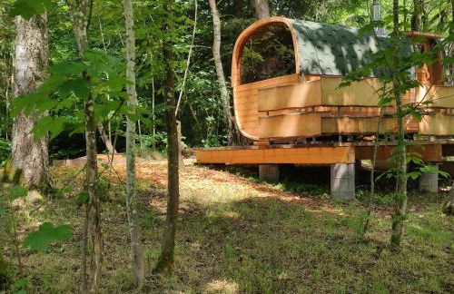 Altes Forsthaus Bodenmais - Foto 15