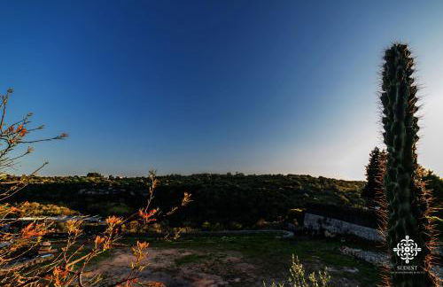 Villa Clara - Country Retreat - Foto 77