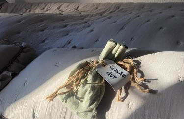 Fachwerk Juwel - Foto 27