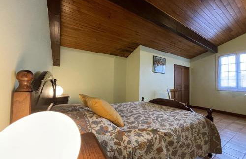 Hiriarteberria - Foto 23