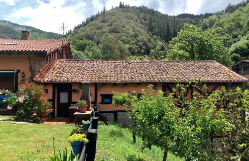 Apartamento Rustico El Cerezo - Photo 6