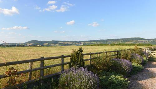 Steppes Farm Cottages - Foto 5