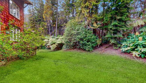 Hale Hapu'u - Photo 5