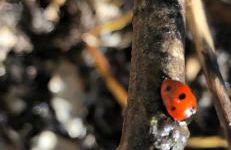 ElleCi Casa Vacanze - Photo 74