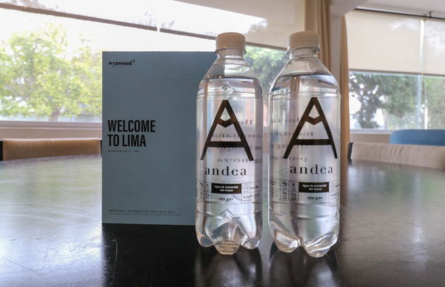 w Luxury 2BR in Blas Cerde a San Isidro - Foto 28