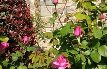 Antico Casale di Ferdinandi - Foto 36