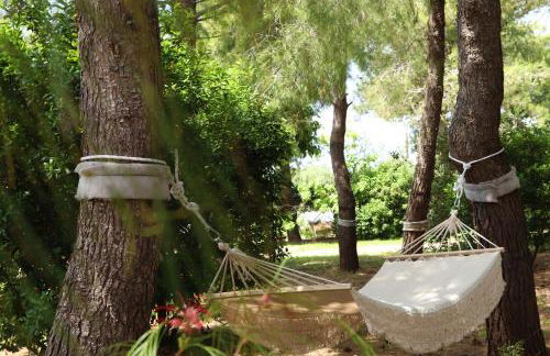 Azienda Agricola Francesca Stajano - Foto 144