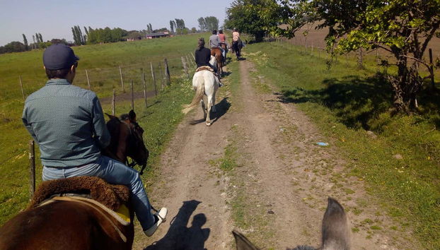 Profitez de la balade à cheval
