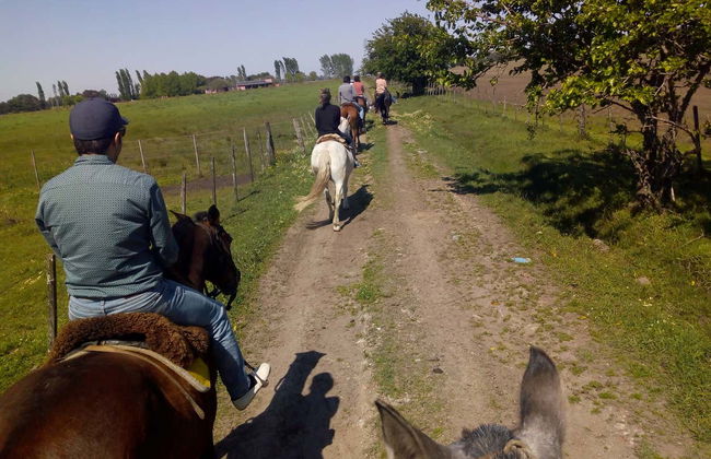 Horse Riding in Carlos Keen - Photo 3
