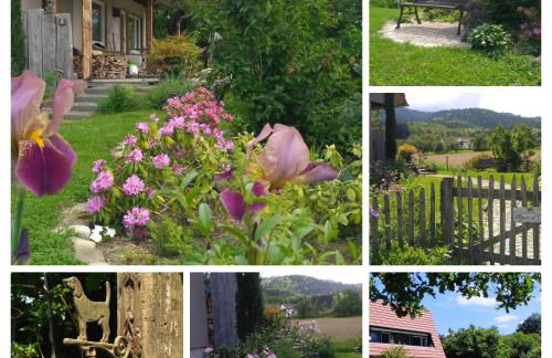 Ferienwohnung Belchenblick - Foto 22