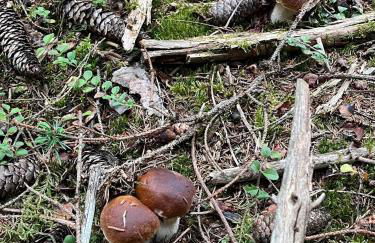 Nuit insolite dans un dôme - Foto 23