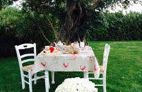 Agriturismo Masseria Cianciò - Foto 106