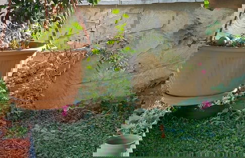 Su Apart Otel Akyaka - Foto 28