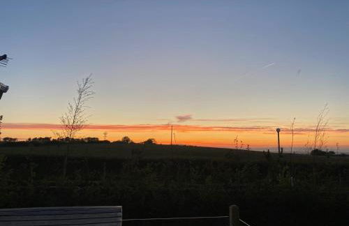 19 Forest Views - Foto 29