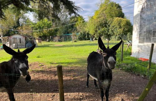 Casa Feletto con parco verde vicino uscita autostrada e fiera - Foto 14