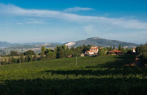 Agriturismo Diaccialone - Foto 1