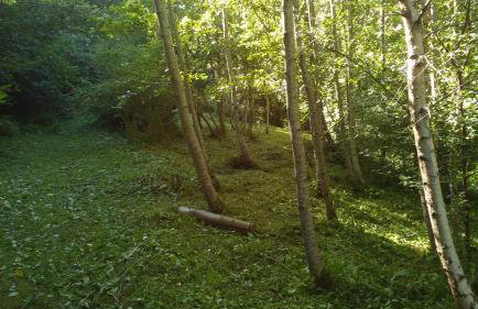 Doonbank Cottage Bothy - Foto 22