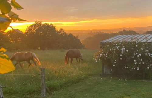 Logement entier de charme, gite équestre GERS Flamarens - Photo 31