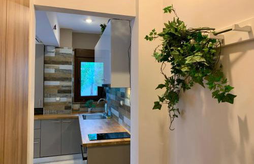 Antony Luxury Suite in Thessaloniki - Foto 21