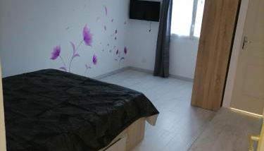 Gîtes aux cœurs des vignes a 10mm du zoo de beauval 3 étoiles - Photo 4