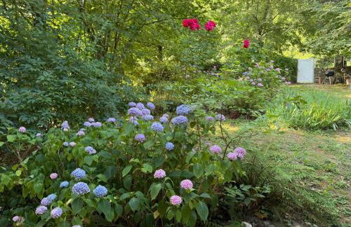 Les Cèdres - Foto 51