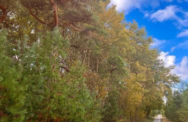 Stormy im Nauticum - Foto 23