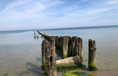 La Petite France - Foto 56