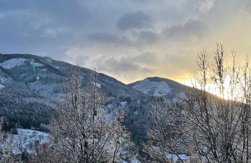 Apartment LUNA - Photo 5