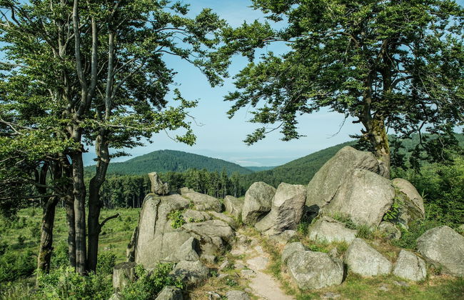 Ferienhaus Lichtung - Photo 72