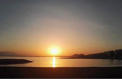 Málaga Alcolea - Photo 32