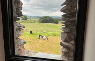 Wild boar barn - Foto 22