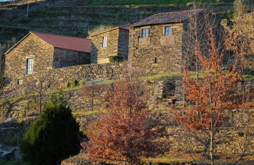 Cardenha do Douro - Photo 1