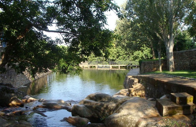 Estudios Manolo - Photo 36