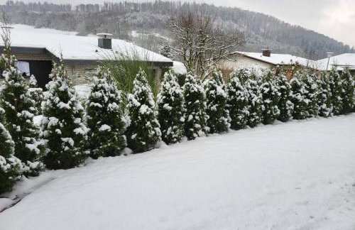 Fewo mit Hund in Bodenwerder - Foto 20