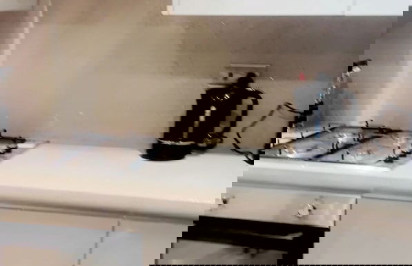 Icare lodge Safwaan house - Foto 9