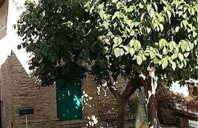 Casetta Nonna Augusta (Spello 9 km-Assisi 12 km) - Foto 33