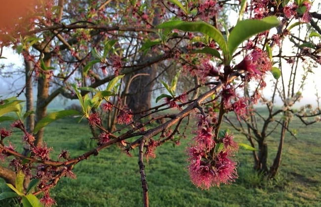 Abington Farm - Foto 49